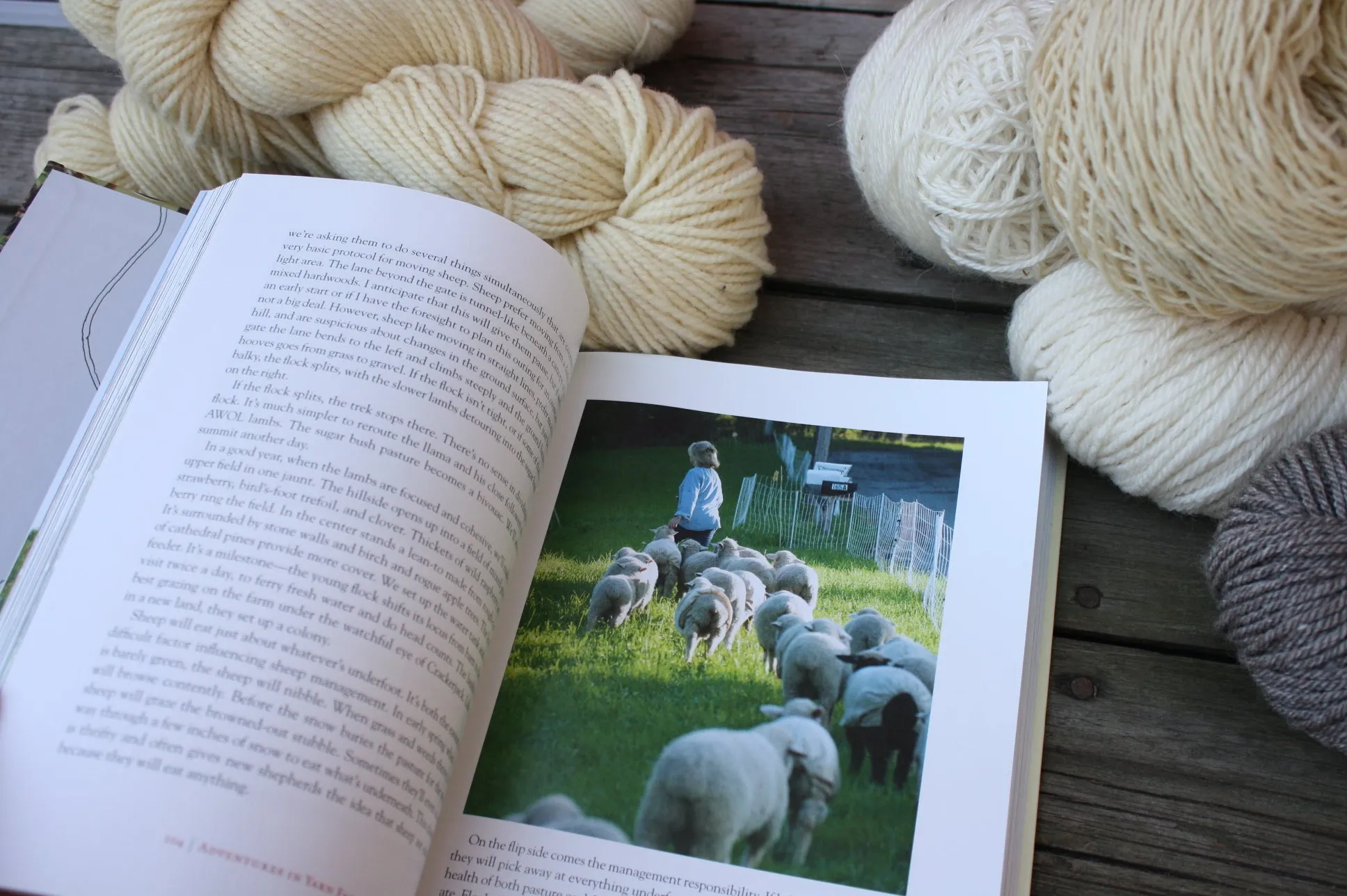 Adventures in Yarn Farming by Barbara Parry