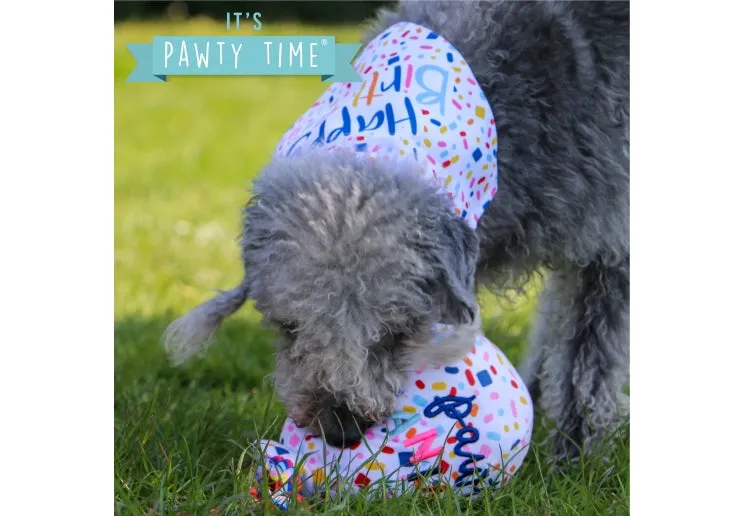 Ancol - Pawty Time Balloon  Dog Toy