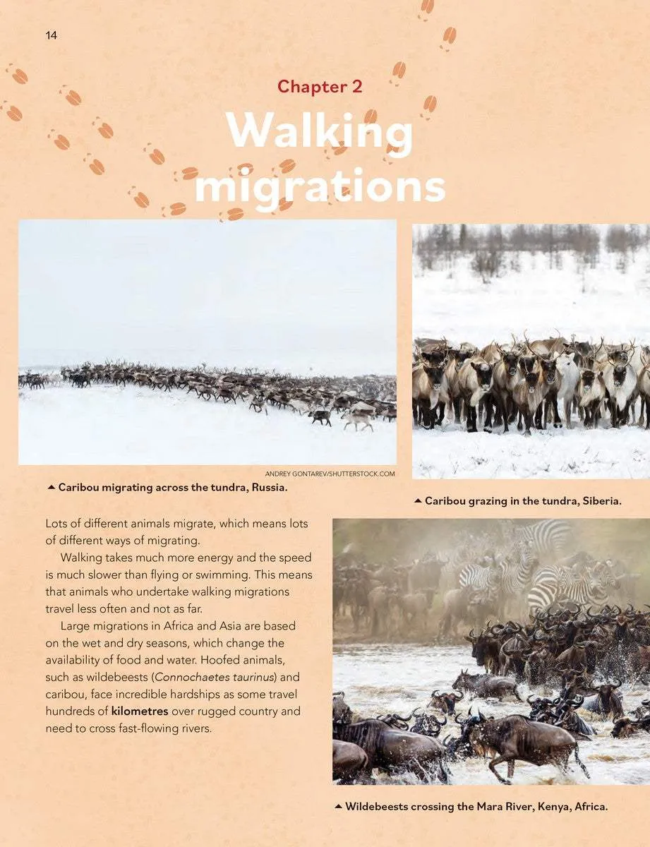 Animal Migrations: Flying, Walking, Swimming