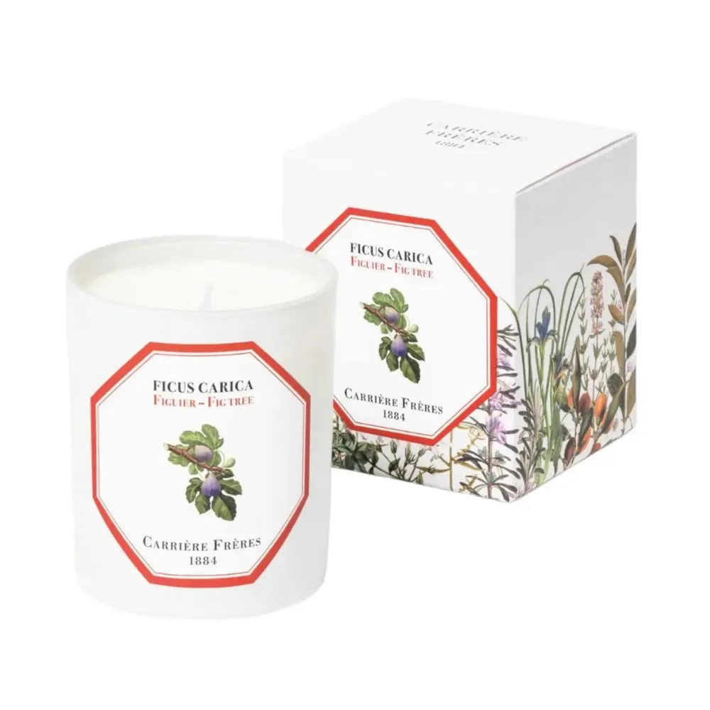 Carriere Freres Fig Tree Candle 185g