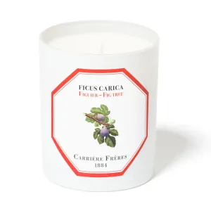 Carriere Freres Fig Tree Candle 185g