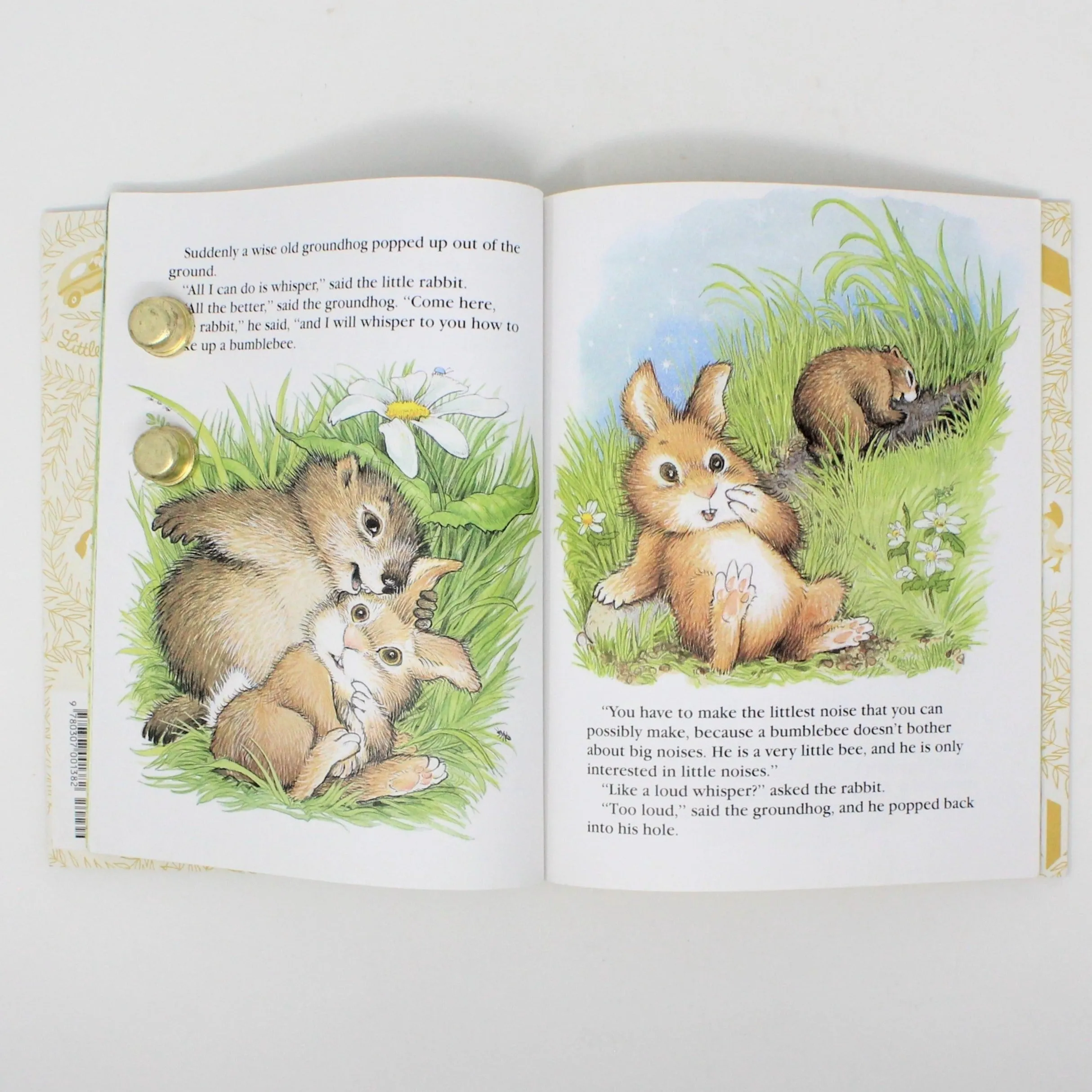 Children's Book, Little Golden Book, The Whispering Rabbit, Hardcover, Vintage 1997