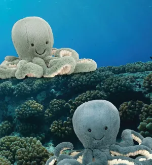 Jellycat - Odyssey the Green Octopus