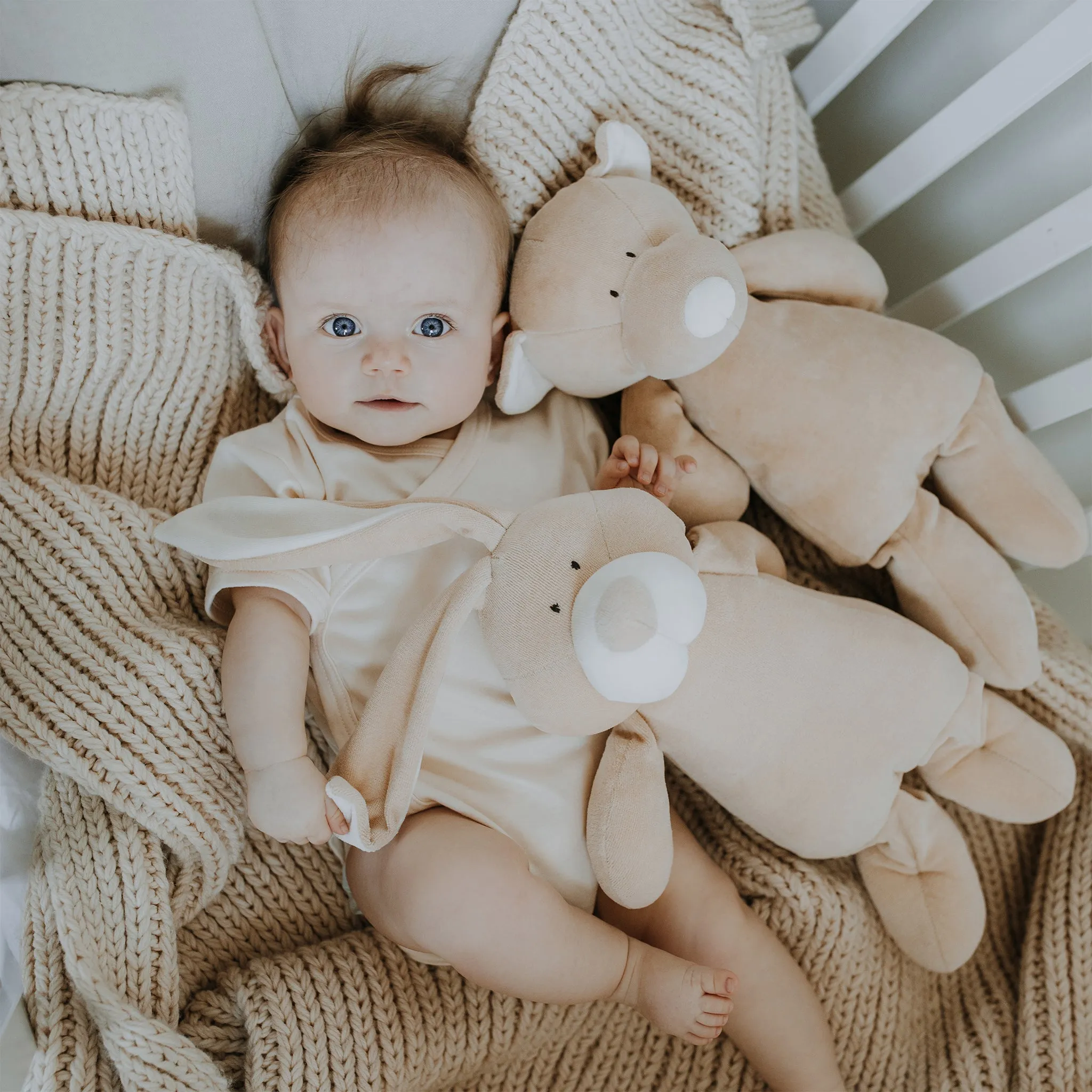 Organic soft toy TEDDY