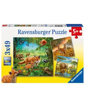 Ravensburger Animals Of The Earth 3X49 Piece