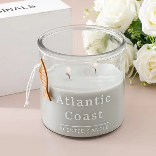 The Better Home Scented Candles for Gifting | 33 Hrs Burn Time | Aromatherapy Soy Wax Candles for Home Decor Fragrance | Aesthetic Candles for Home |Sea Anemone Algae Aroma Scented Candles for Bedroom