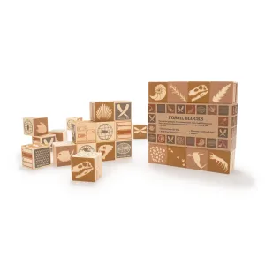 Wooden Blocks Fossils